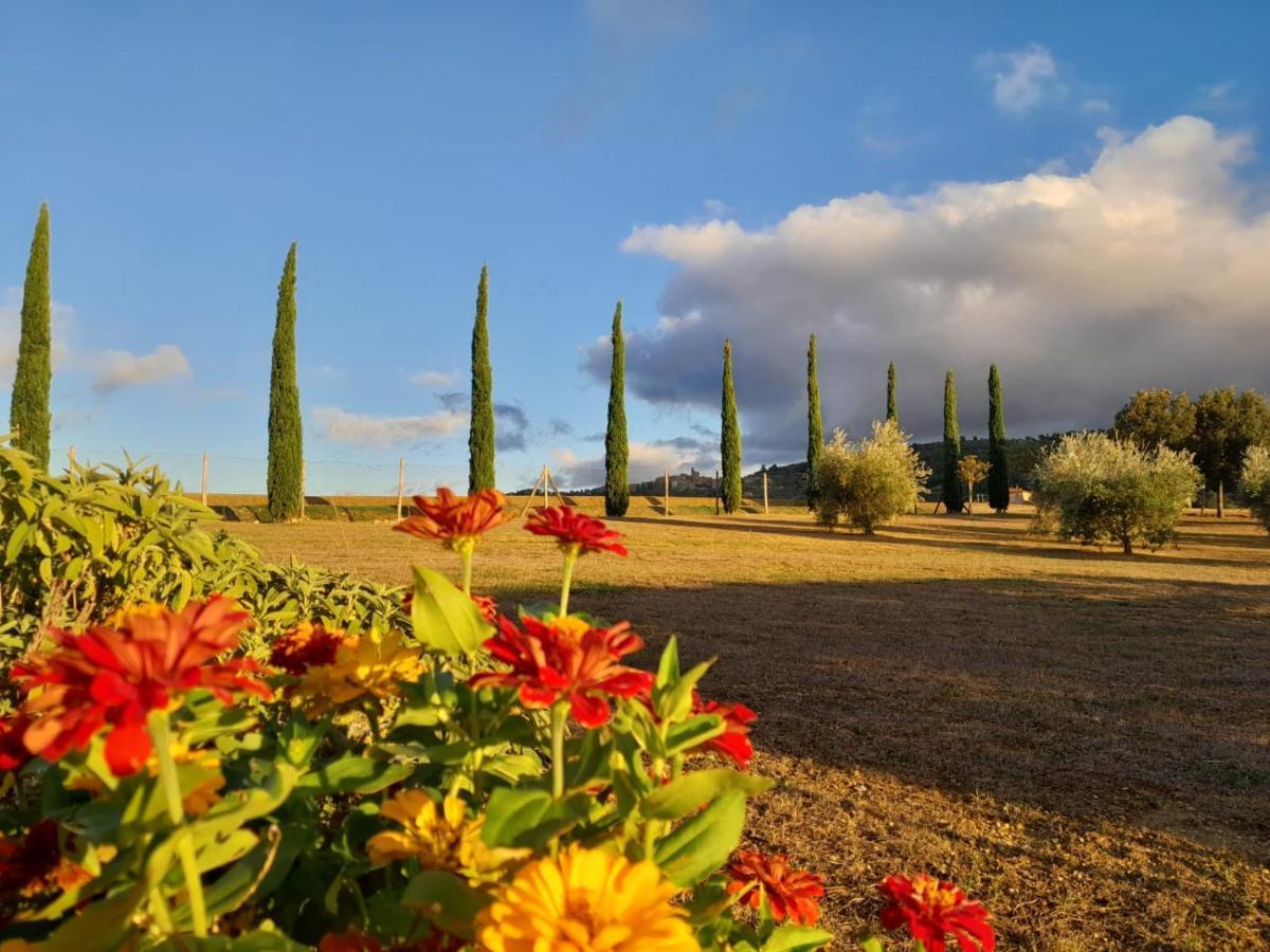 Podere Molinaccio Panicale Εξωτερικό φωτογραφία