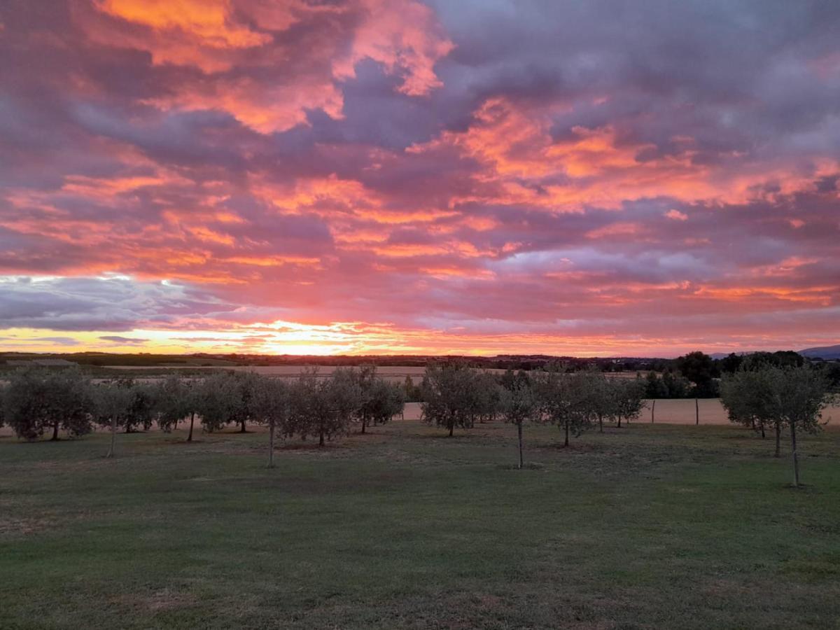 Podere Molinaccio Panicale Εξωτερικό φωτογραφία