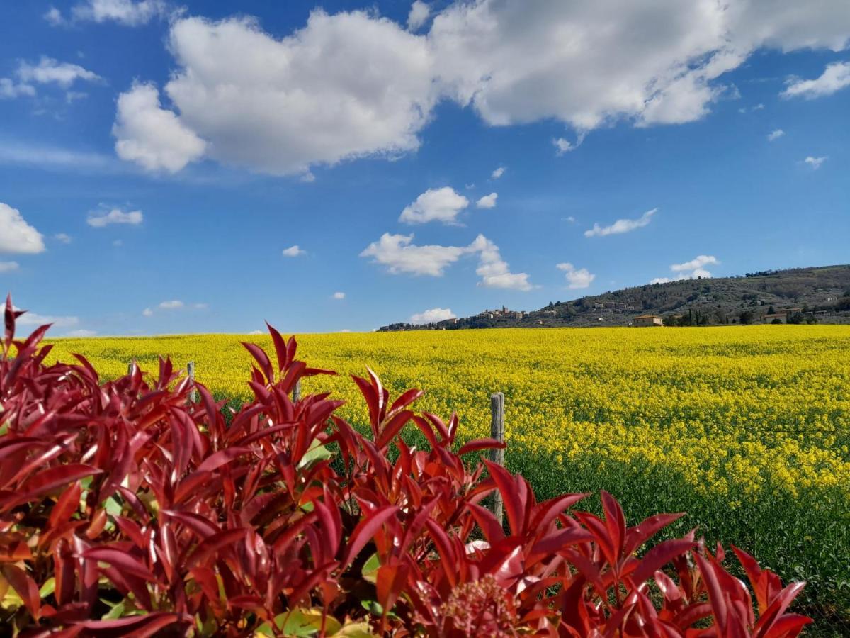 Podere Molinaccio Panicale Εξωτερικό φωτογραφία