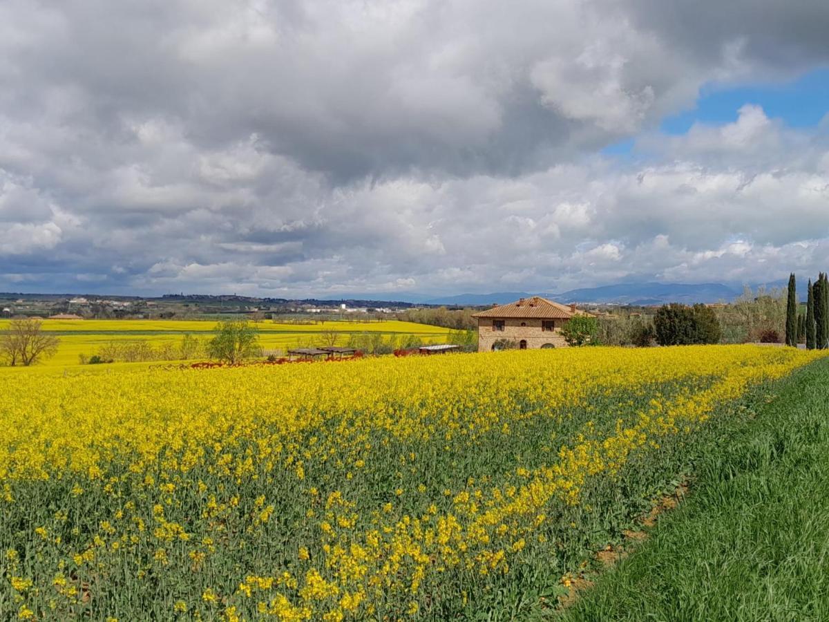 Podere Molinaccio Panicale Εξωτερικό φωτογραφία