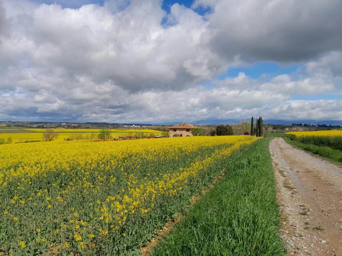 Podere Molinaccio Panicale Εξωτερικό φωτογραφία