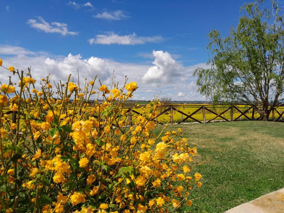 Podere Molinaccio Panicale Εξωτερικό φωτογραφία