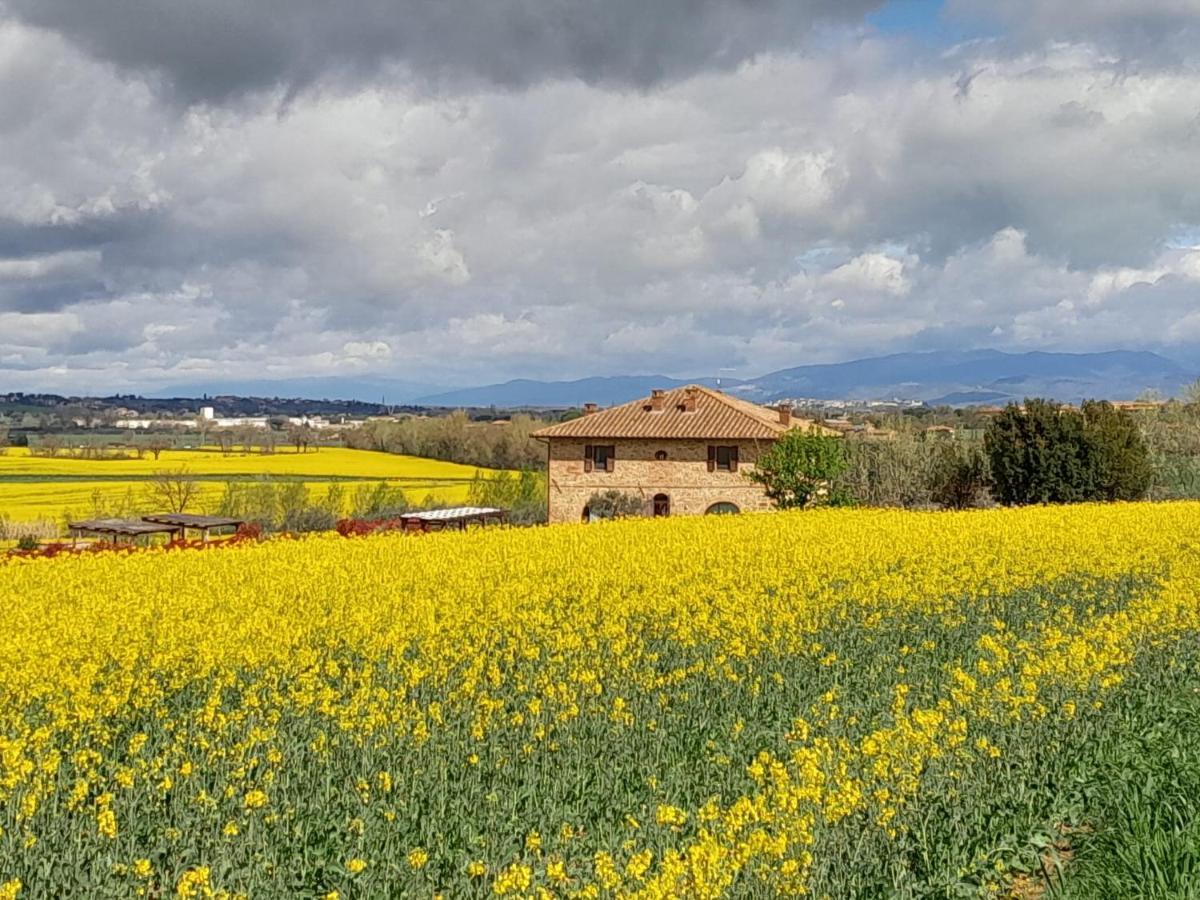 Podere Molinaccio Panicale Εξωτερικό φωτογραφία