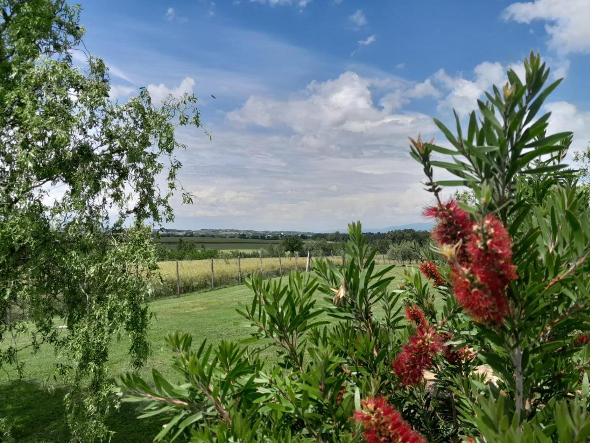 Podere Molinaccio Panicale Εξωτερικό φωτογραφία