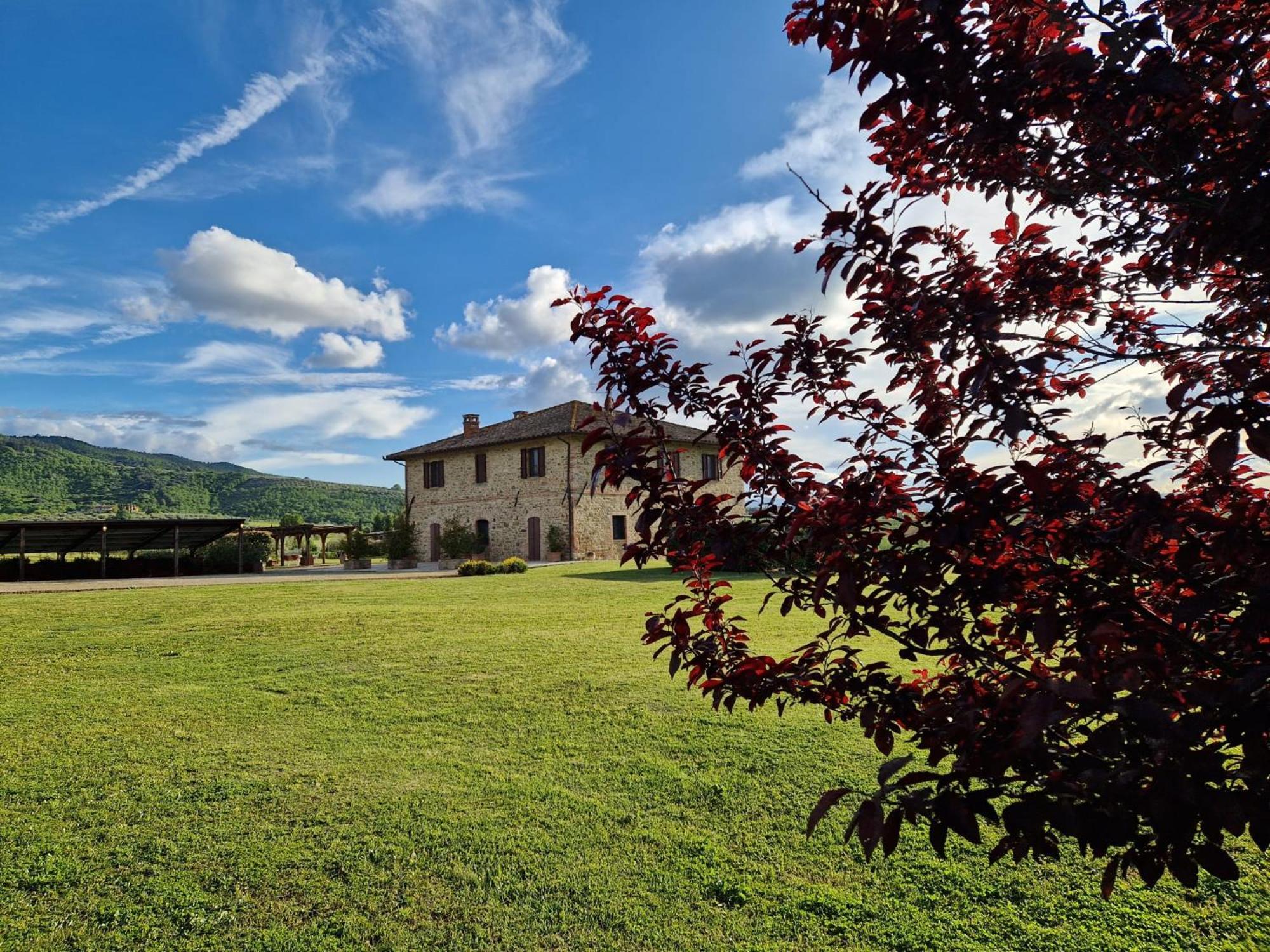 Podere Molinaccio Panicale Εξωτερικό φωτογραφία