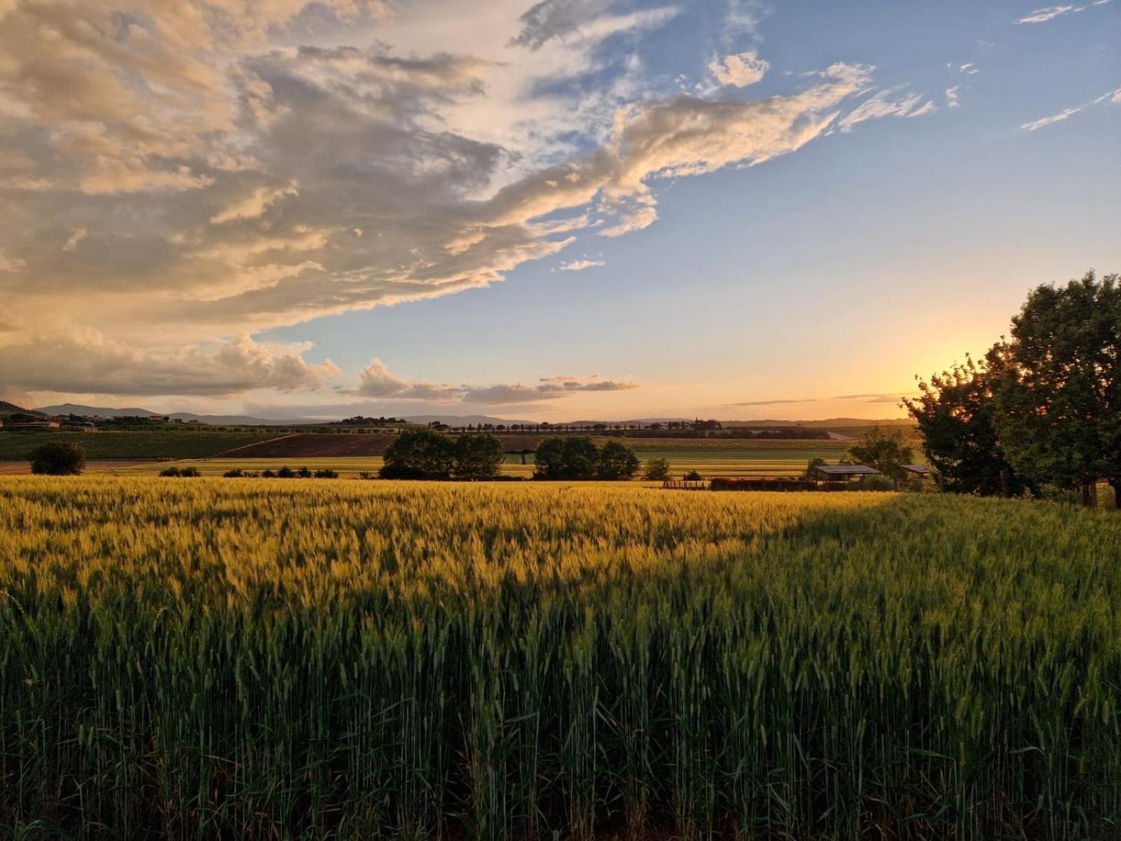Podere Molinaccio Panicale Δωμάτιο φωτογραφία