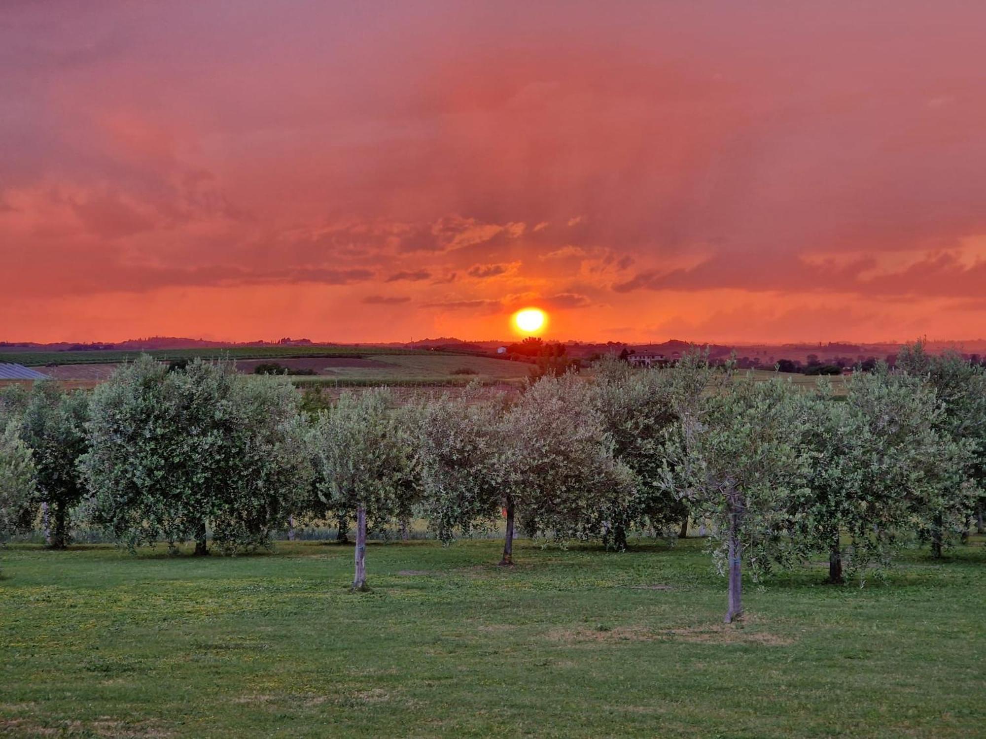 Podere Molinaccio Panicale Εξωτερικό φωτογραφία