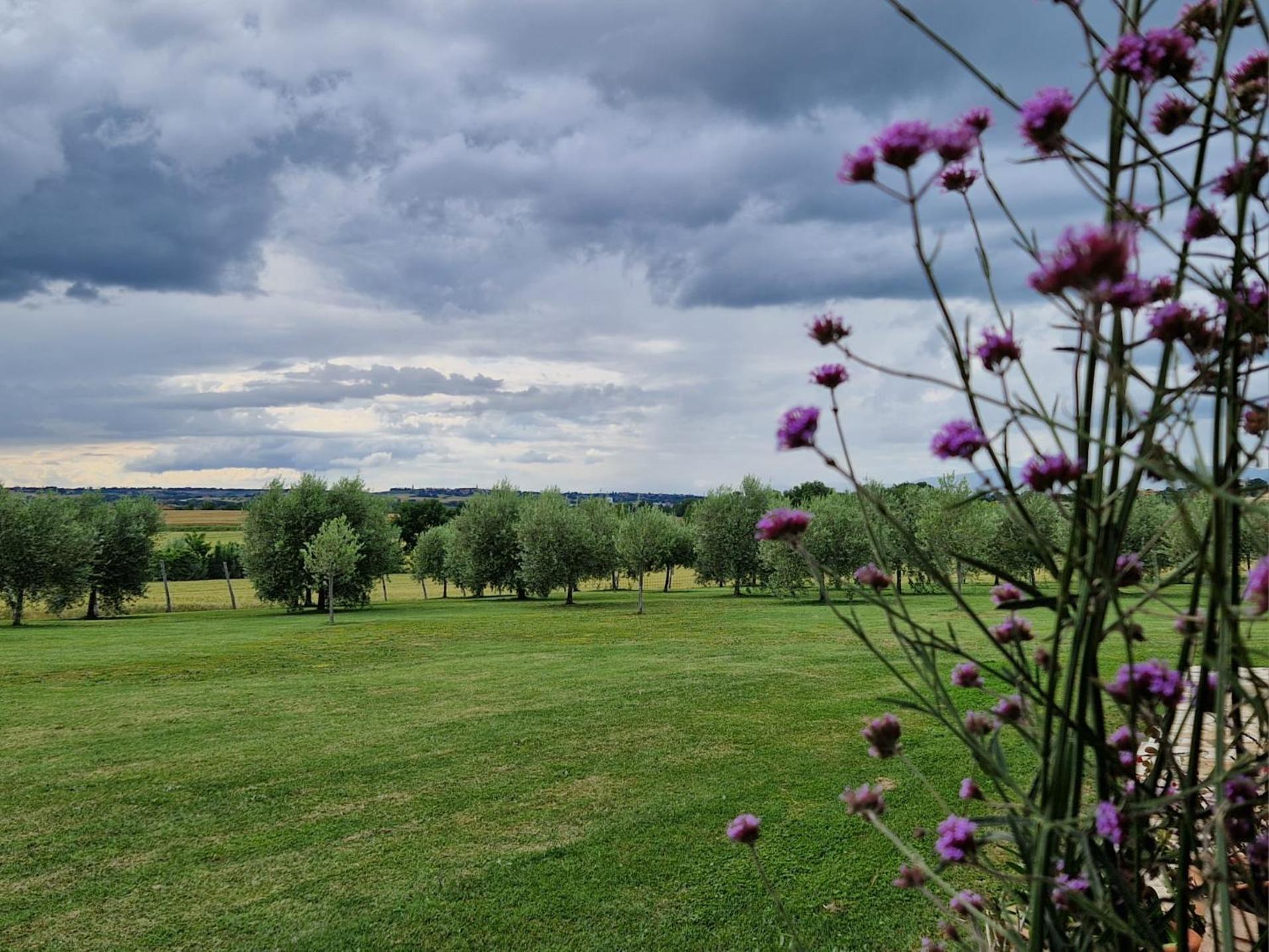 Podere Molinaccio Panicale Εξωτερικό φωτογραφία
