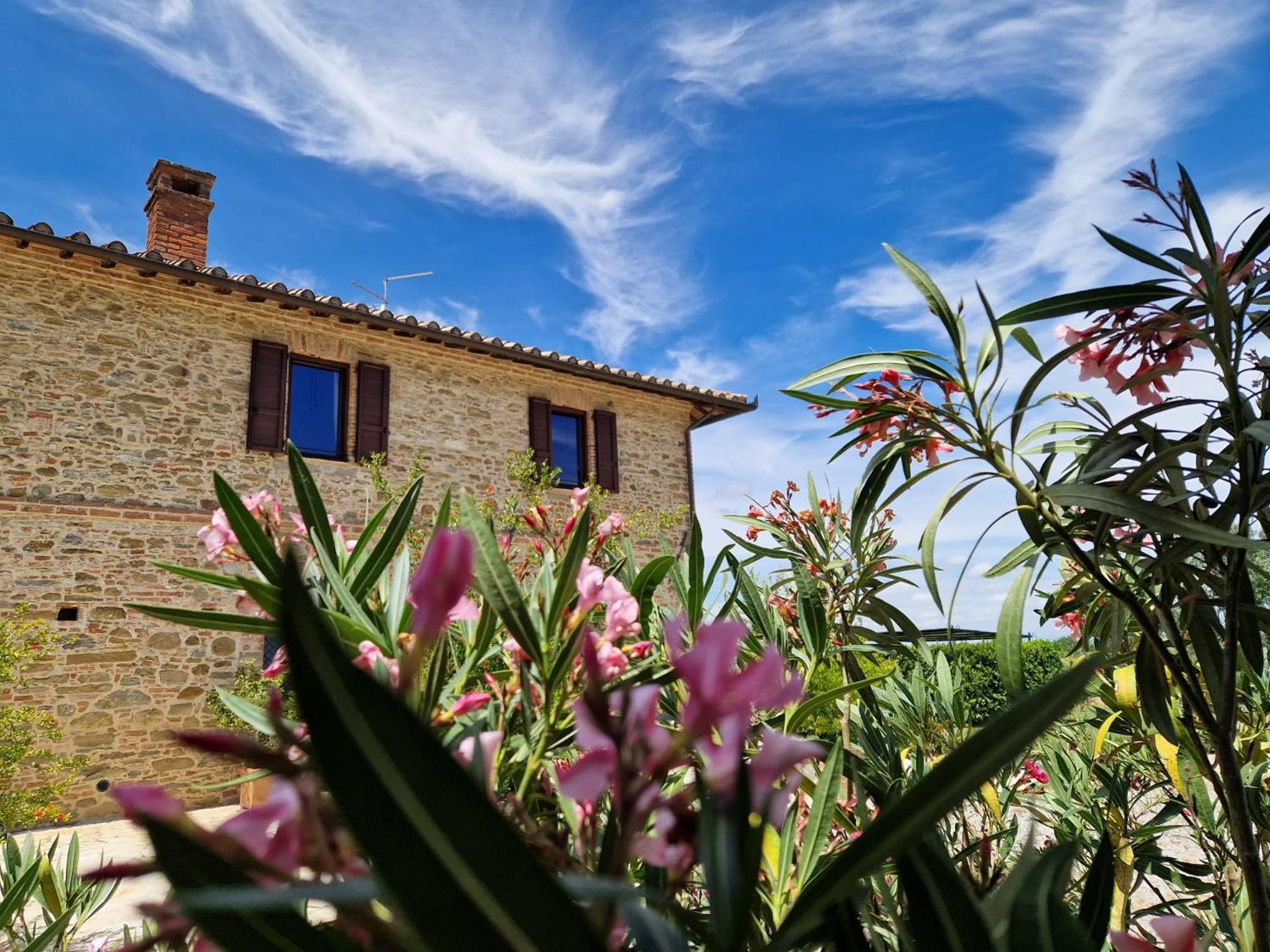 Podere Molinaccio Panicale Εξωτερικό φωτογραφία